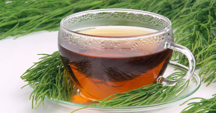 infusión de cola de caballo
